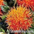 Sell Safflower Seed Oil Powder