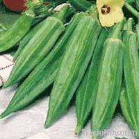 Sell Fresh Okra