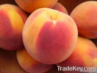 Sell fresh Peaches