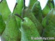 Sell Fresh Pears