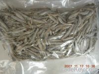 Sell dried anchovy fish