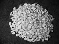 Sell White Maize/Corn Suitable for Human Consumption