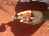 Sell Annatto seeds available