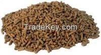 Sell High  quality  HORSE FEED 