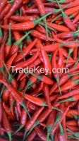 Sell Red Chilli Pepper - Less price, More profit