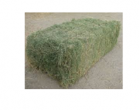 Sell High Protein Timothy Hay For Animal Feeds
