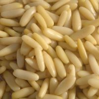 Sell Wholesale  Fresh Pine Nuts / Dried Pine Nuts 