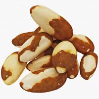 Sell  Best Quality Organic brazil nuts 