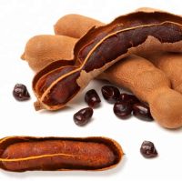 Sell  Dehydrated Seedless Tamarind 
