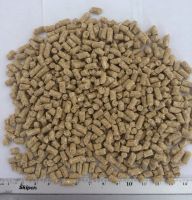 Sell  Emu Grower Pellets