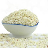 Sell  Top Quality White Sorghum Bulk Red Sorghum For Sale