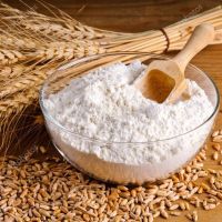 Sell  TOP GRADE All Purpose Wheat Flour / Wheat Flour for Bread