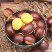 Sell new season small bag packaged Organic Roasted Chestnuts with shell