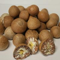 Sell Betel  Nuts / Cashew Nuts / Almond Nuts