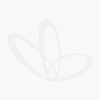 Sell Piccolo - Formula Infant Stage 1 Organic 800g