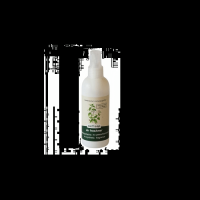 Sell Earthsap Air Freshener Spray Peppermint 150ml
