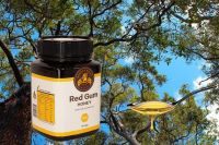 Australia Red Gum Honey | Australia Apiary | Supplier