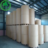 Hot Sale 190-350g Uncoated/Light Coating Cupstock Base Paper/Cup Paper