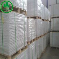 Hot Sale 190-350g Uncoated/light Coating Cupstock Base Paper/cup Paper