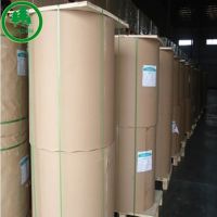 55g 80g 200gsm 300gsm Woodfree Offset Printing Paper For Textbooks Or Notebooks