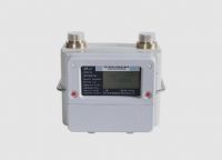 Ultrasonic Domestic Gas Meter