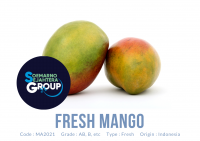 Fresh Mango