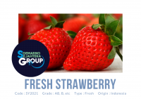 Fresh Strawberry