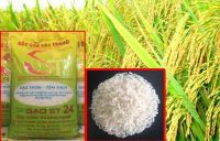 Best Vietnam White Long-grain Rice Rice Fragrant Rice ST25 5% Broken Song Hau Well-milled Dried