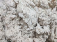 Cotton Waste Card Fly Whatsapp +923453534061