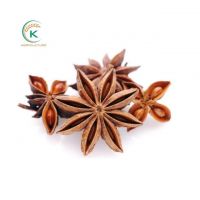 Autumn Crop Star Anise 2021 Vietnam