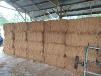 coconut fiber