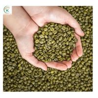 K-Agriculture Supplier Coffee Specialty Arabica Quang Tri Coffee Green Beans