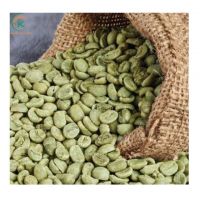 High Quality Coffee Robusta Lam Dong Honey Green Beans Coffee