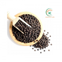 Vietnam Highest Quality Black Pepper 570FAQ Black Pepper Dried Pepper Vietnam Manufacturer