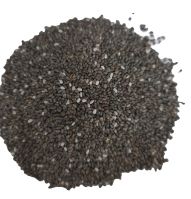 High Quality Natural Black Bulk Organic Chia Seeds