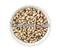 Cowpea Red Cowpea Beans Vigna Cow Pea Black Eyed Beans Red Beans Red Cowpea