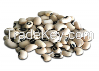 100% High Quality Black Eye Beans / Black Eyed Peas