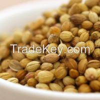 CORIANDER SEEDS