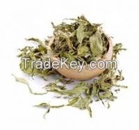 STEVIA HERB