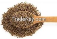 CUMIN SEED