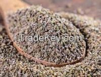 PARSLEY SEEDS