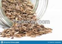 DILL SEED