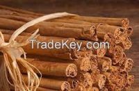 CINNAMON CEYLON STICKS