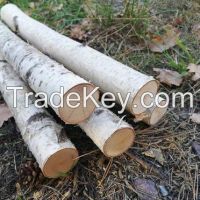 BIRCH LOGS