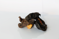 Dried beef kidneys for dogs