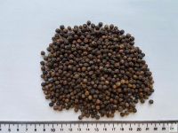 Vietnam Natural Black Pepper 570FAQ