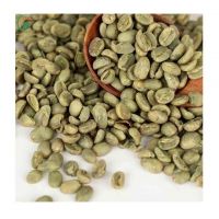 Best Flavor Coffee Vietnam Robusta Green Beans Coffee Contact WhatsApp +84855555794
