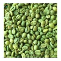 Honey Pulp Coffee Robusta Green Beans Coffee