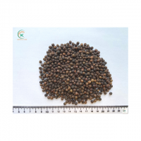 Top Spice Vietnam - BLACK PEPPER 550G/L HACCP Certificate Black Pepper Dried Pepper Competitive Supplier