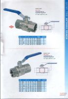 Ball Valves, Gas Filter